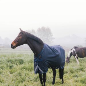 Couverture d'extérieur Comfort 1200D - Kentucky