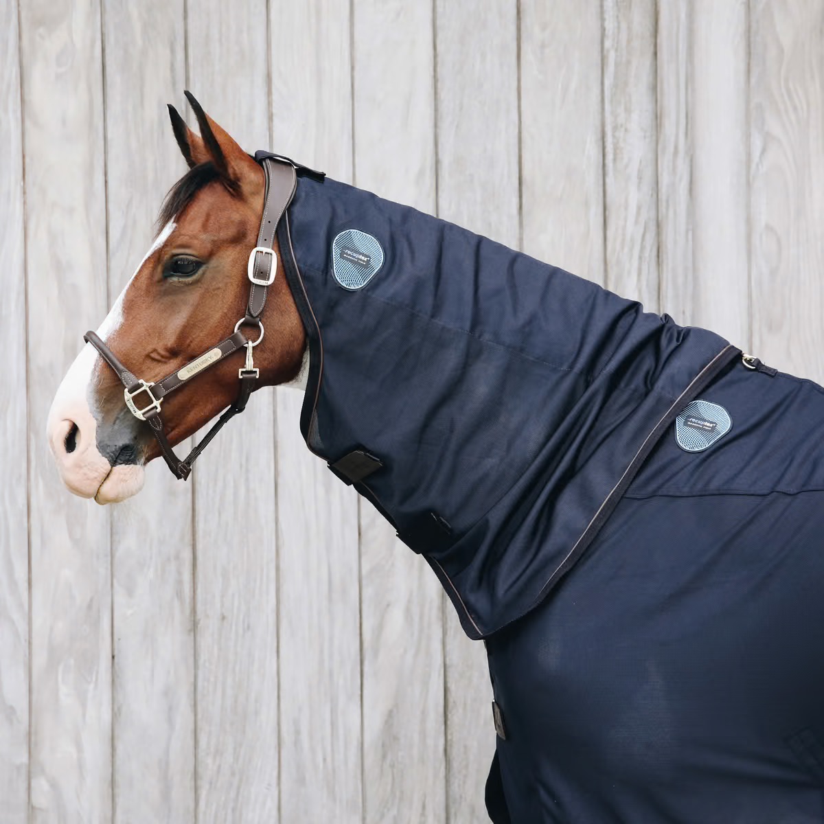 Couvre cou Recuptex - Kentucky