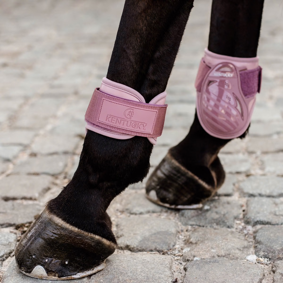 Protege boulet - Kentucky – Image 3