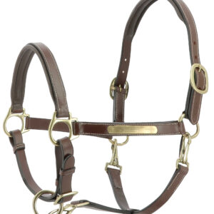 Licol en cuir - Eric thomas