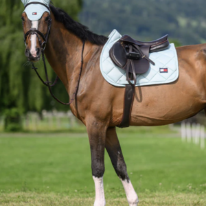 Tapis de selle Columbia - Tommy hilfiger equestrian