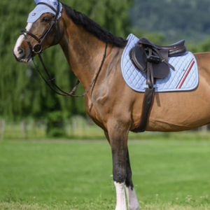 Tapis stanford bleu ciel - Tommy hilfiger equestrian
