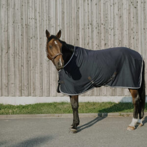 Chemise séchante Drycool - Equithéme