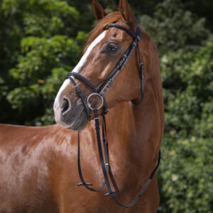 Bridon muserolle combinée noir - Riding World