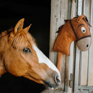 Jouet Hobby horse pour chevaux - HIPPOTONIC