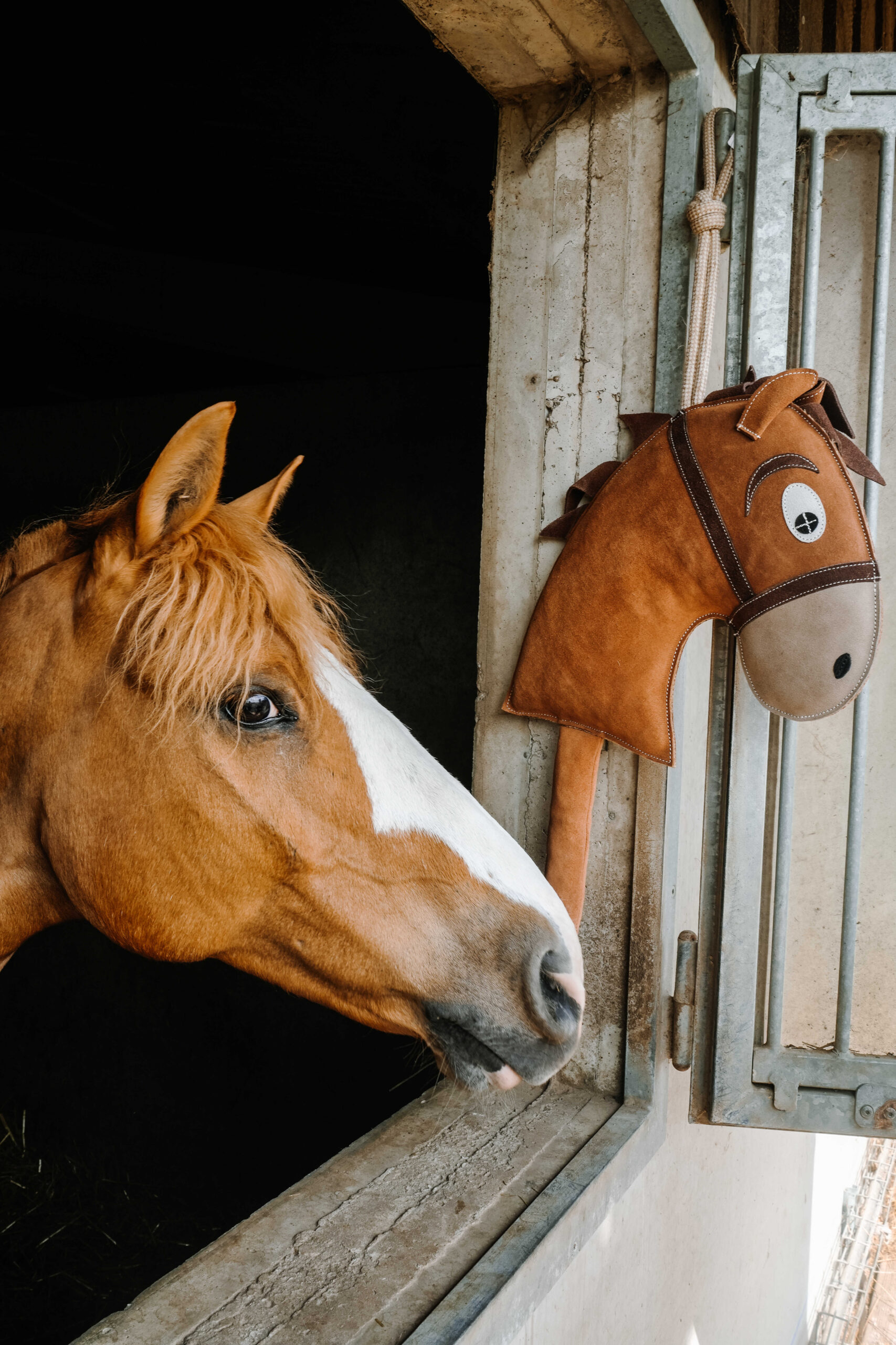 Jouet Hobby horse pour chevaux - HIPPOTONIC