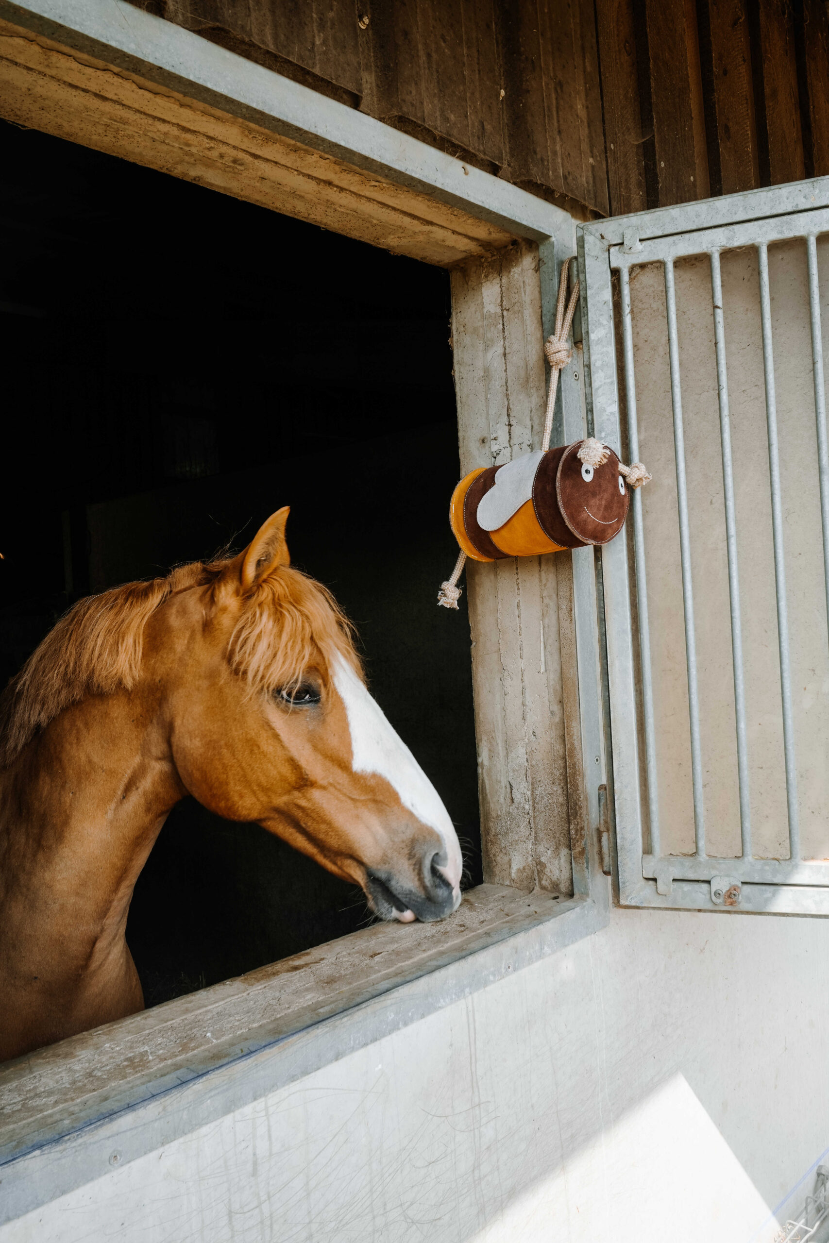 Jouet abeille pour chevaux - HIPPOTONIC