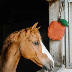 Jouet pomme pour chevaux - HIPPOTONIC