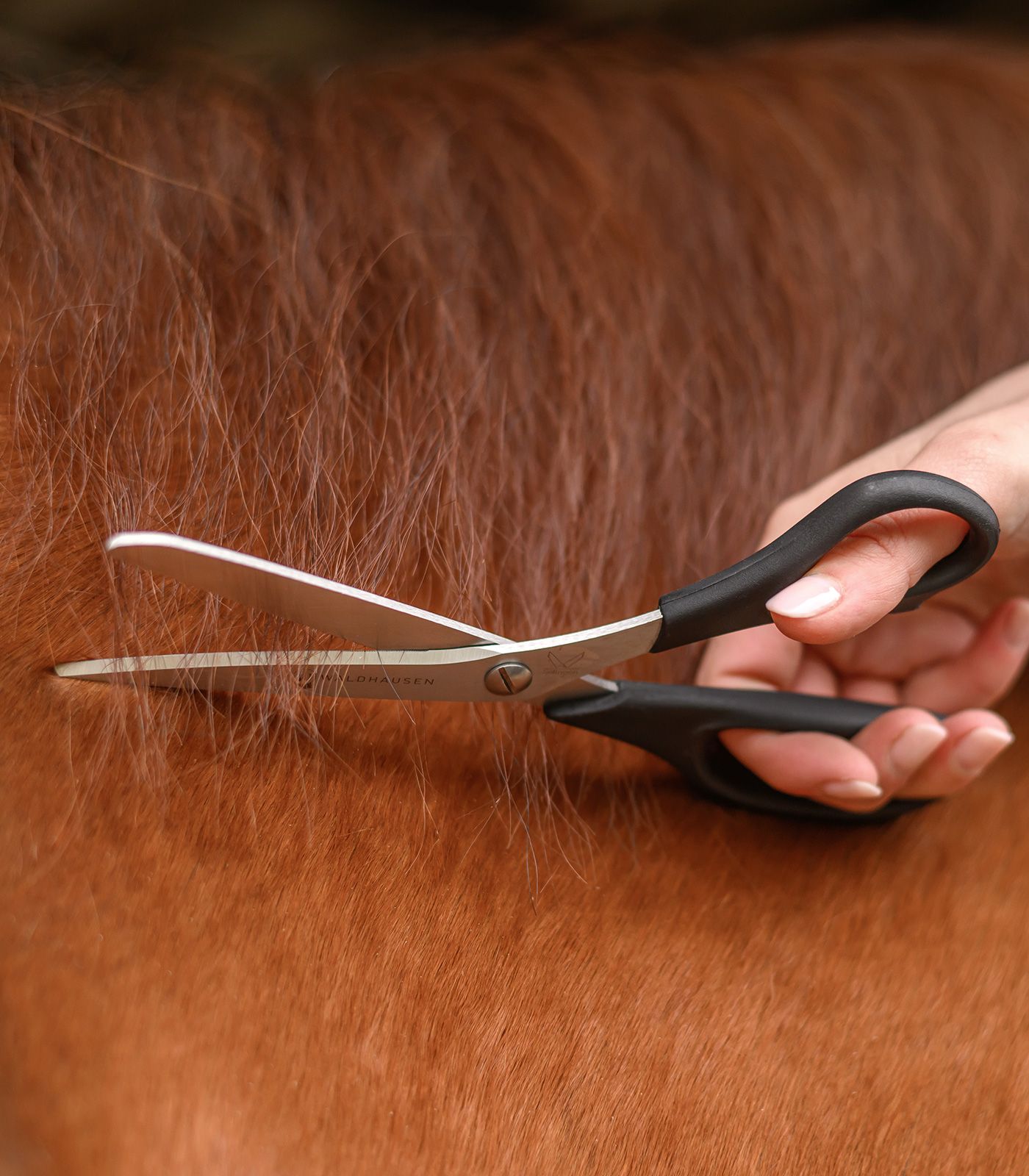 Ciseaux easy cut - Waldhaussen