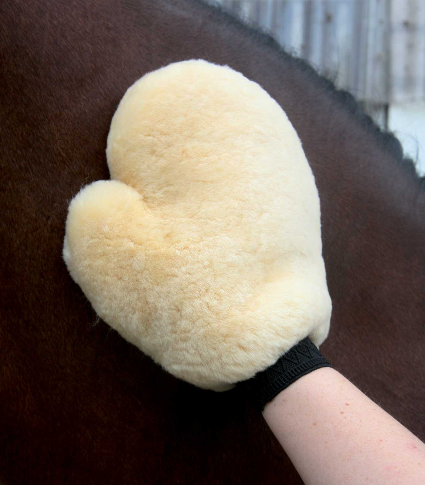 Gants mouton - Waldhaussen