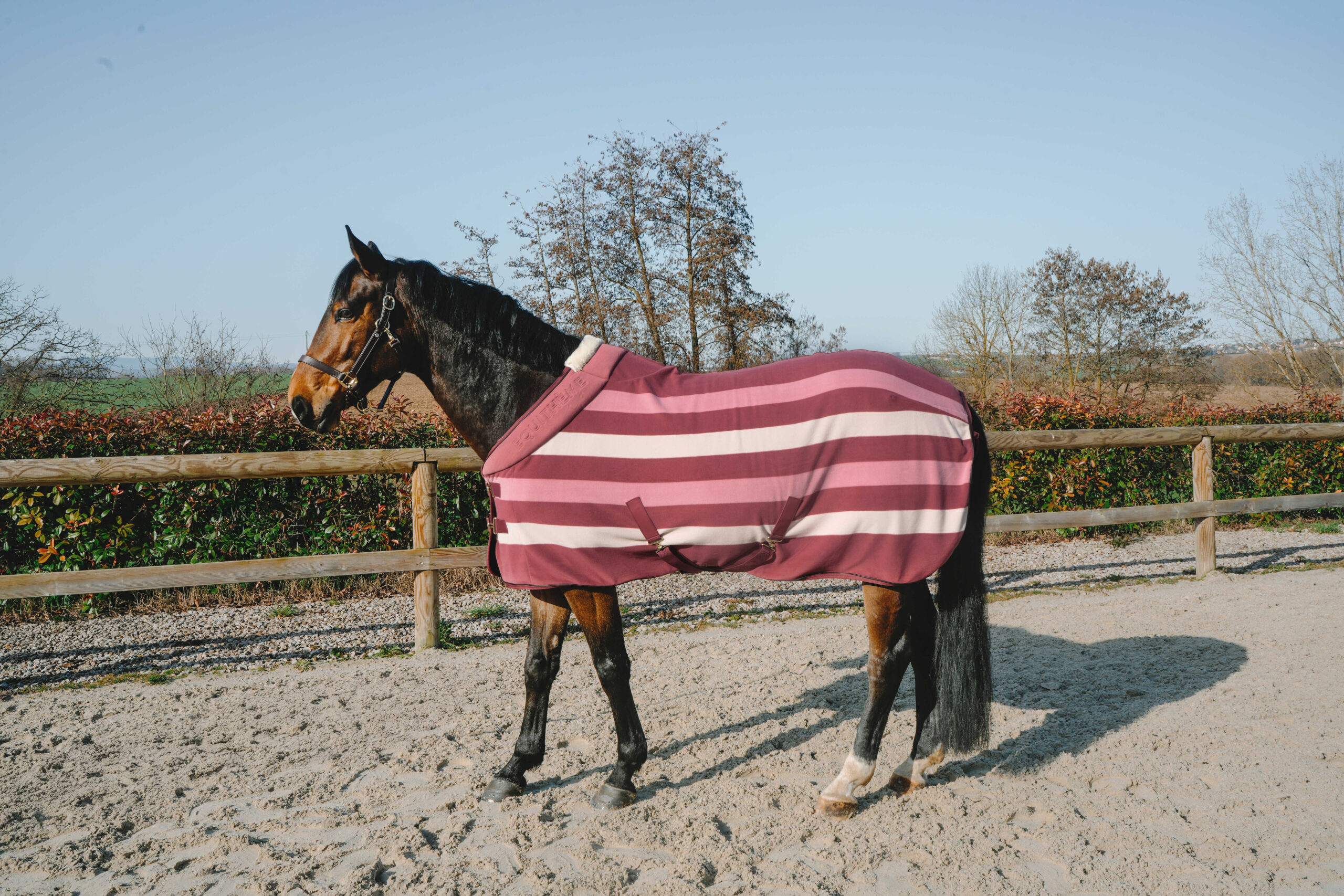 Chemise polaire confortech rose - Équithéme